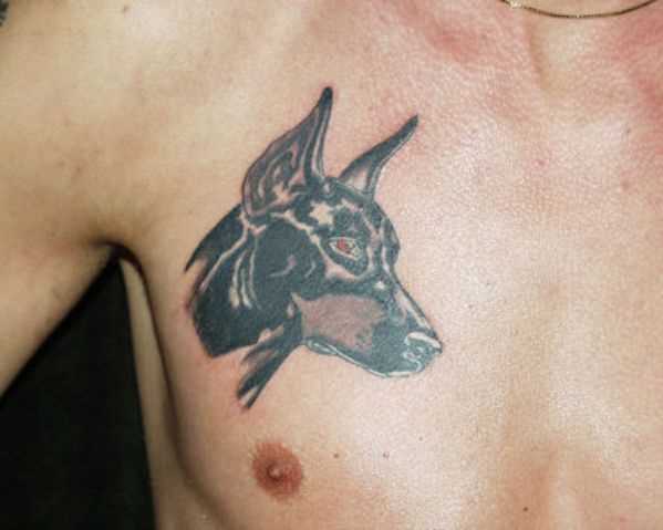 Tatuagem no peito de um cara - de- cão