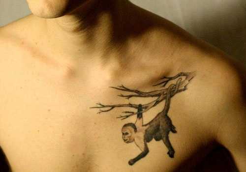 Tatuagem no peito de um cara de macaco no galho