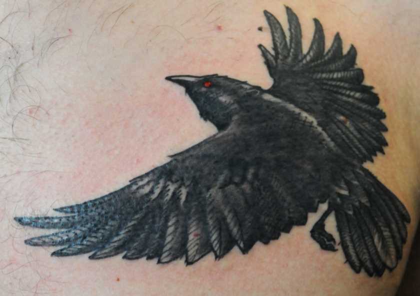 Tatuagem no peito de um cara - um grande corvo