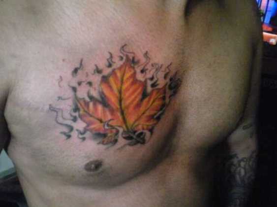 Tatuagem no peito do cara - a folha