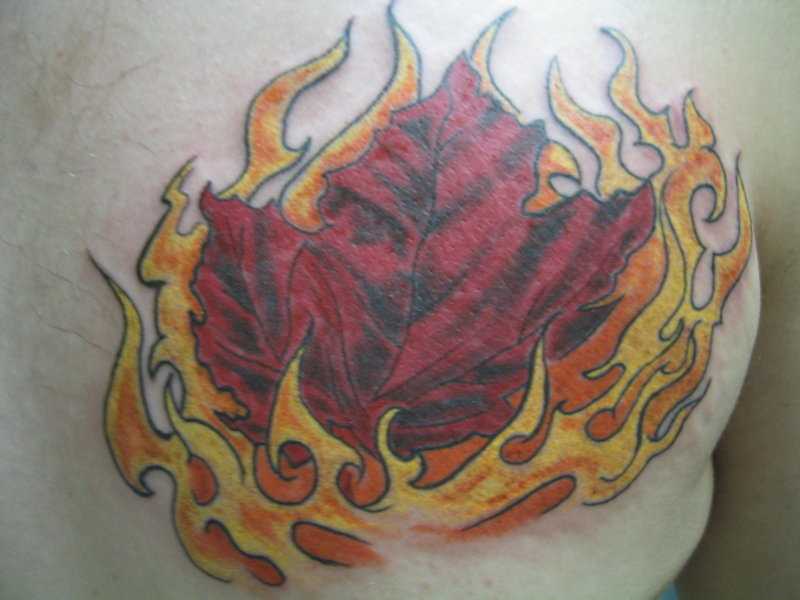 Tatuagem no peito do cara - a queima de uma folha de