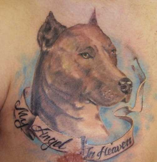 Tatuagem no peito do cara - de- cão e inscrição