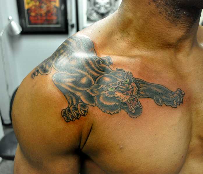Tatuagem no peito e o ombro de um cara - pantera