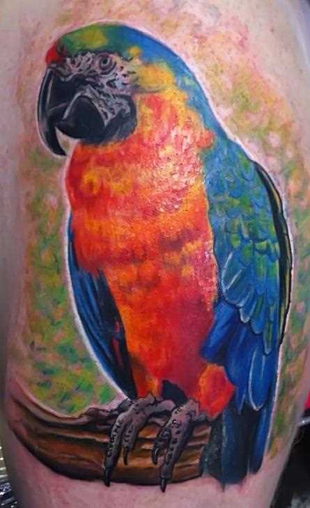 Tatuagem no quadril cara - de- papagaio