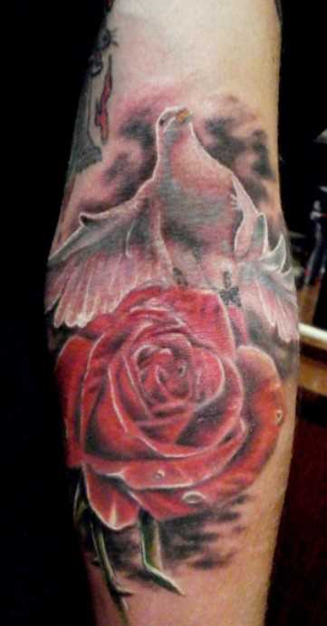 Tatuagem que tem no braço da menina - a pomba e a rosa