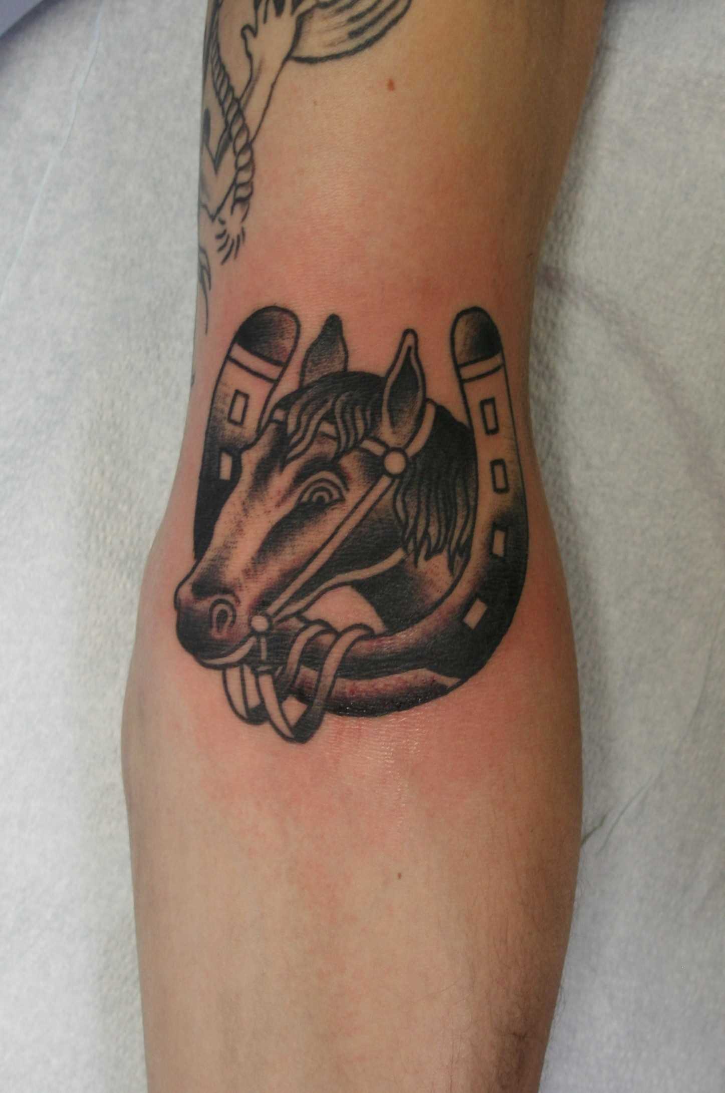 Tatuagem que tem no braço da menina - ferradura e a cabeça de um cavalo