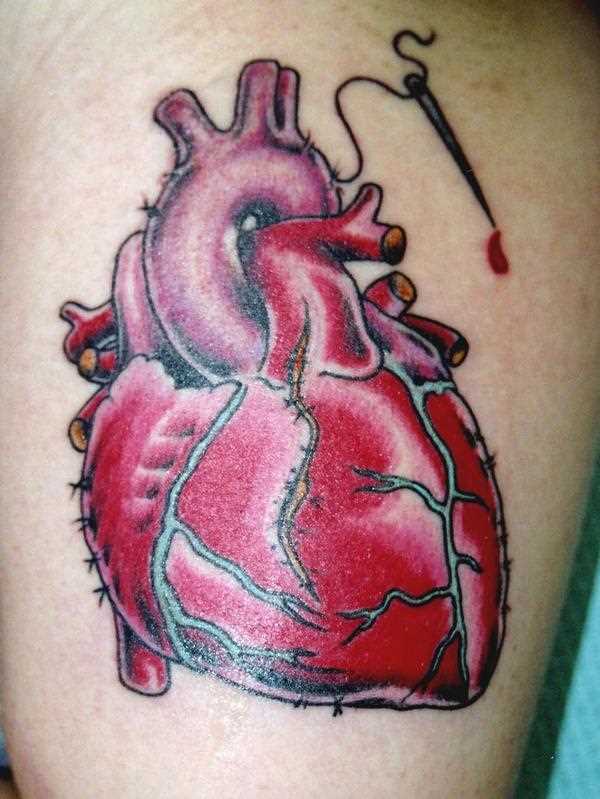 Tatuagem que tem no braço de uma menina - o coração e a agulha com a linha