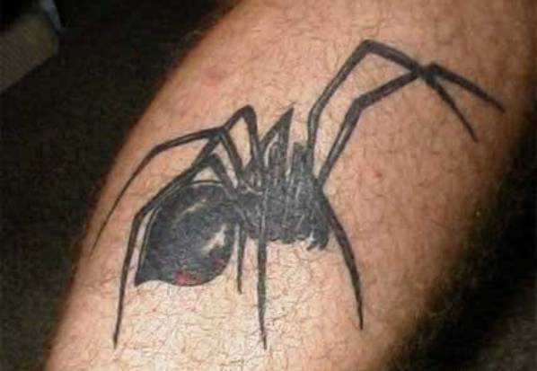 Tatuagem sobre a perna de homem - aranha