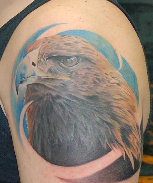 Uma bela tatuagem em seu ombro o homem - falcão