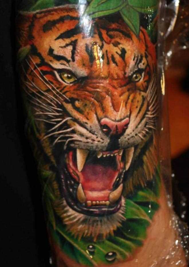 Uma bela tatuagem no braço de um cara - de- tigre
