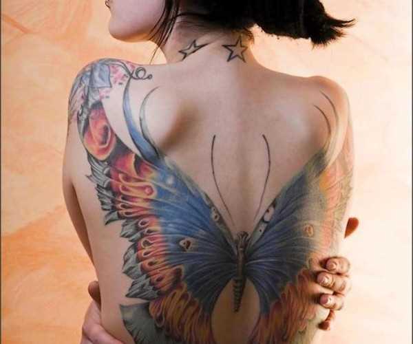 Uma grande tatuagem nas costas da menina - borboleta