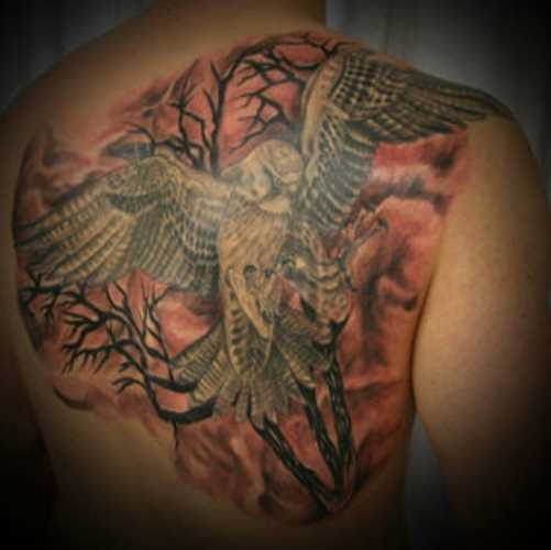 Uma grande tatuagem nas costas do cara - falcão