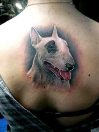 Uma tatuagem que a menina da coluna vertebral - cão