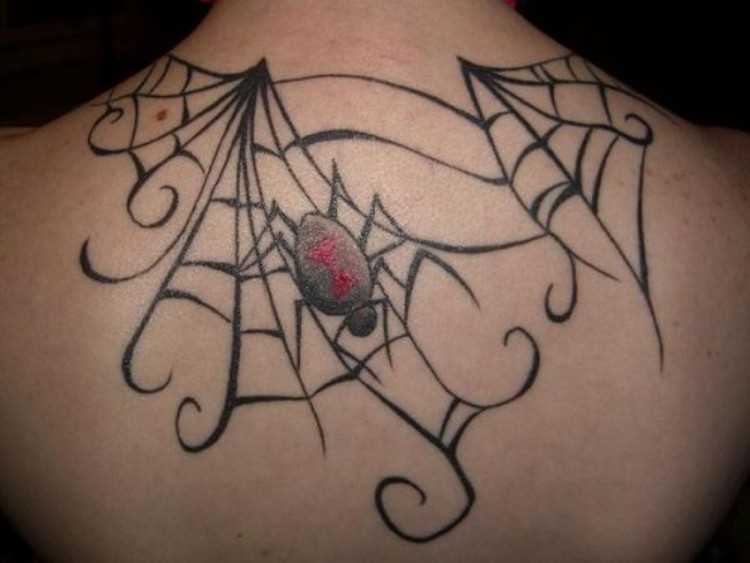 Uma tatuagem que a menina nas costas com a imagem de teias de aranha e uma aranha